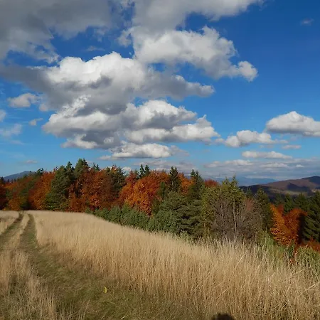 Δωμάτια σε οικογενειακή κατοικία U Martinov *