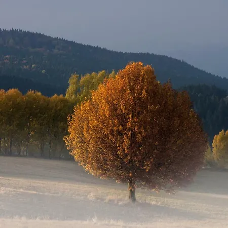 Quarto em Acomodações Particulares U Martinov *