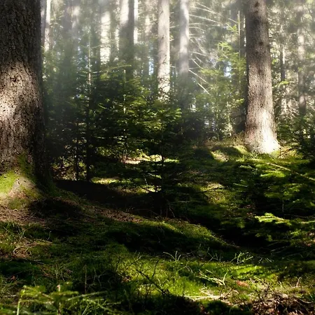 U Martinov Quarto em Acomodações Particulares Poniky