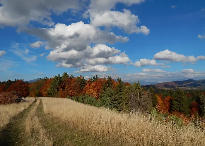 홈스테이 U Martinov *