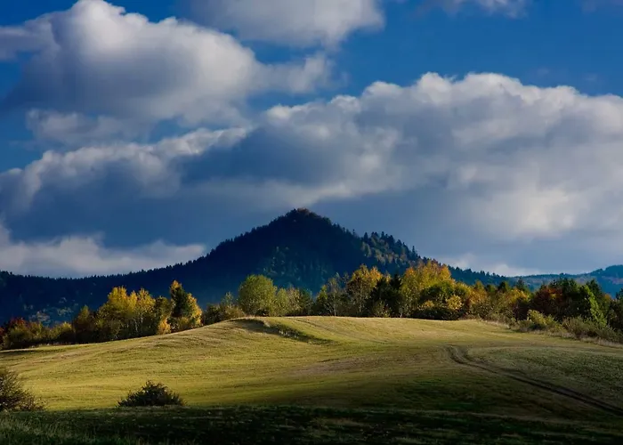 홈스테이 U Martinov