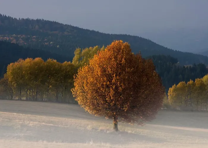 Ubytování v soukromí U Martinov *
