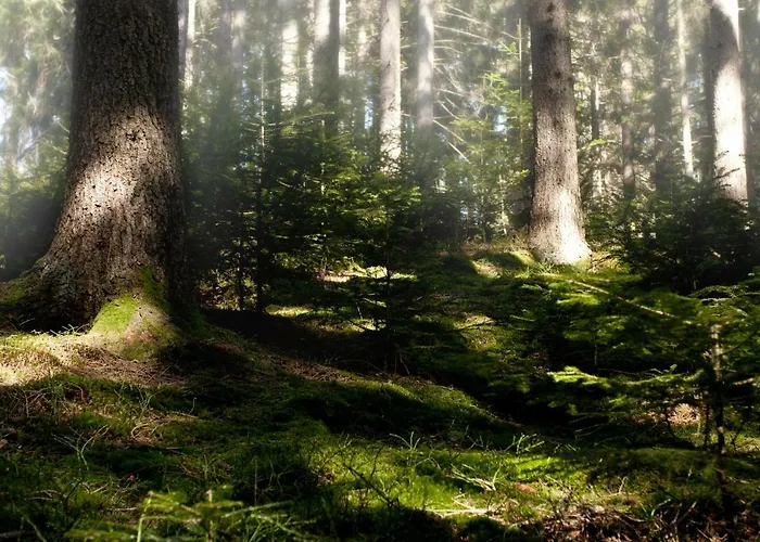 U Martinov Ubytování v soukromí Poniky